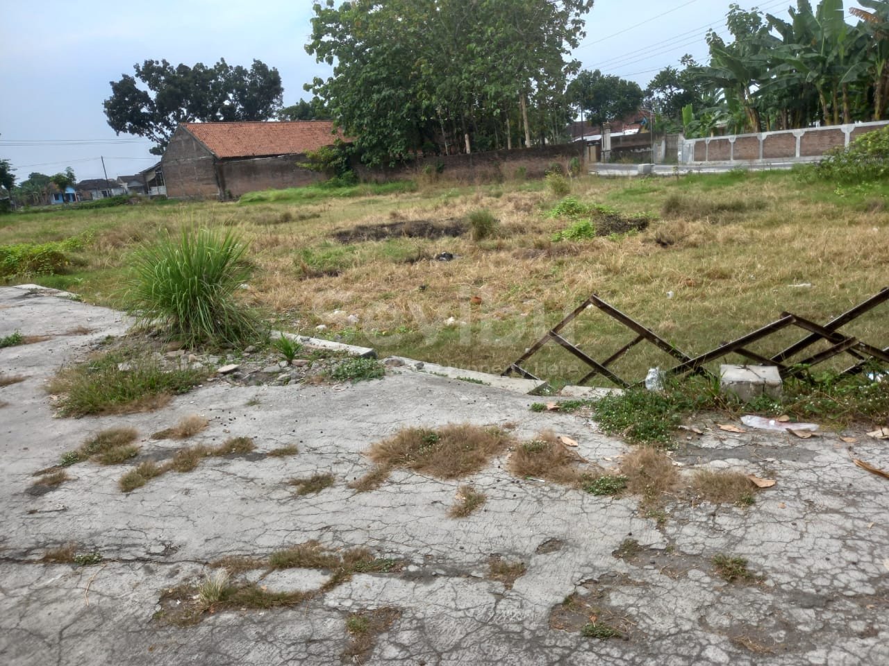 WhatsApp Image 2023-06-16 at 20.59.19 (1)