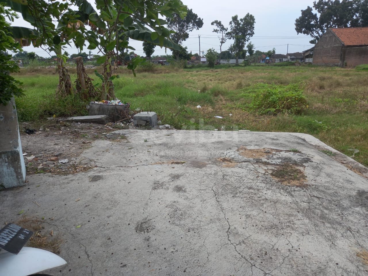 WhatsApp Image 2023-06-16 at 20.59.19