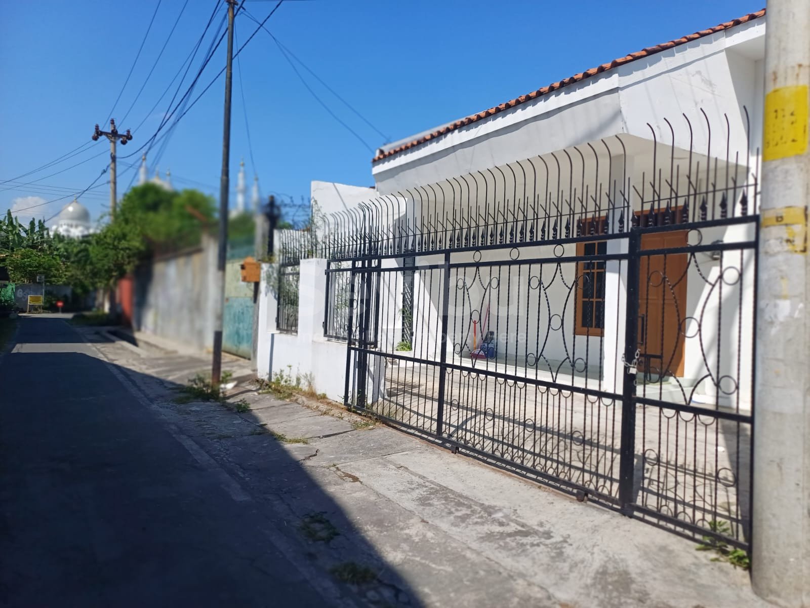 WhatsApp Image 2023-06-26 at 13.45.39