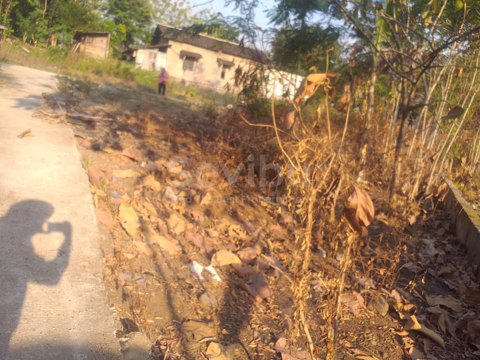 WhatsApp Image 2023-08-12 at 12.04.42