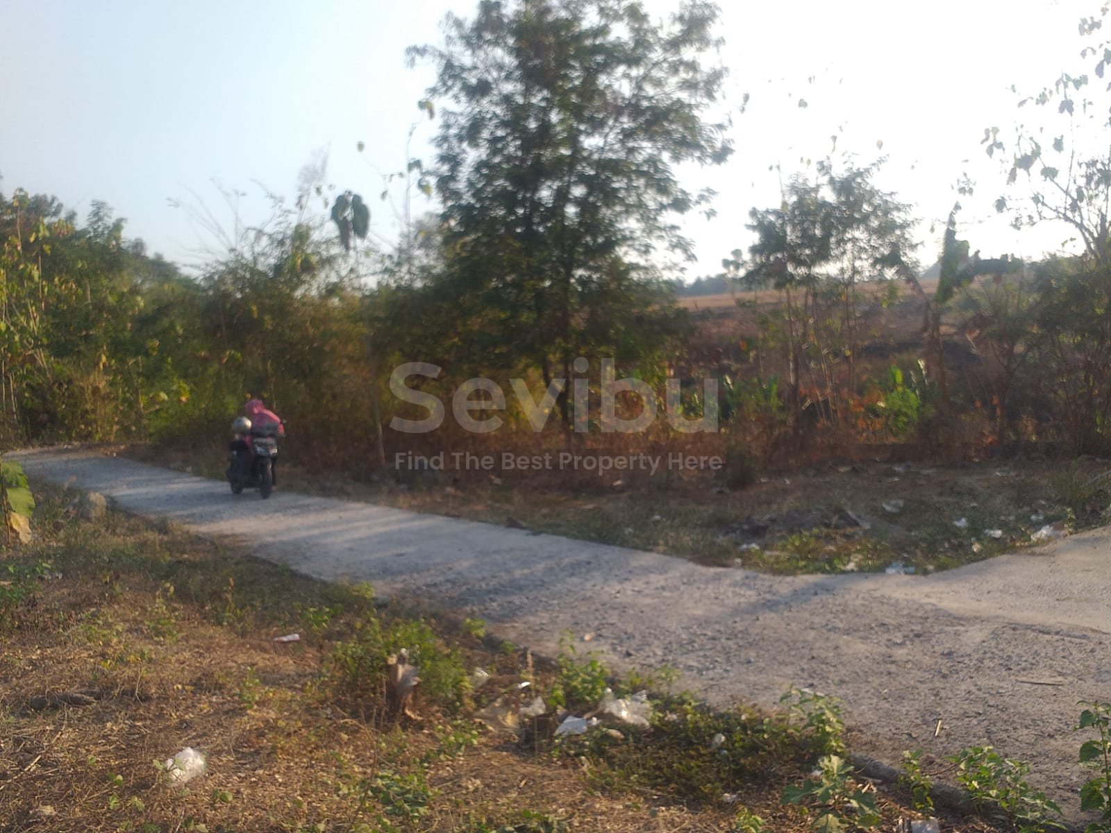 WhatsApp Image 2023-08-12 at 12.04.46