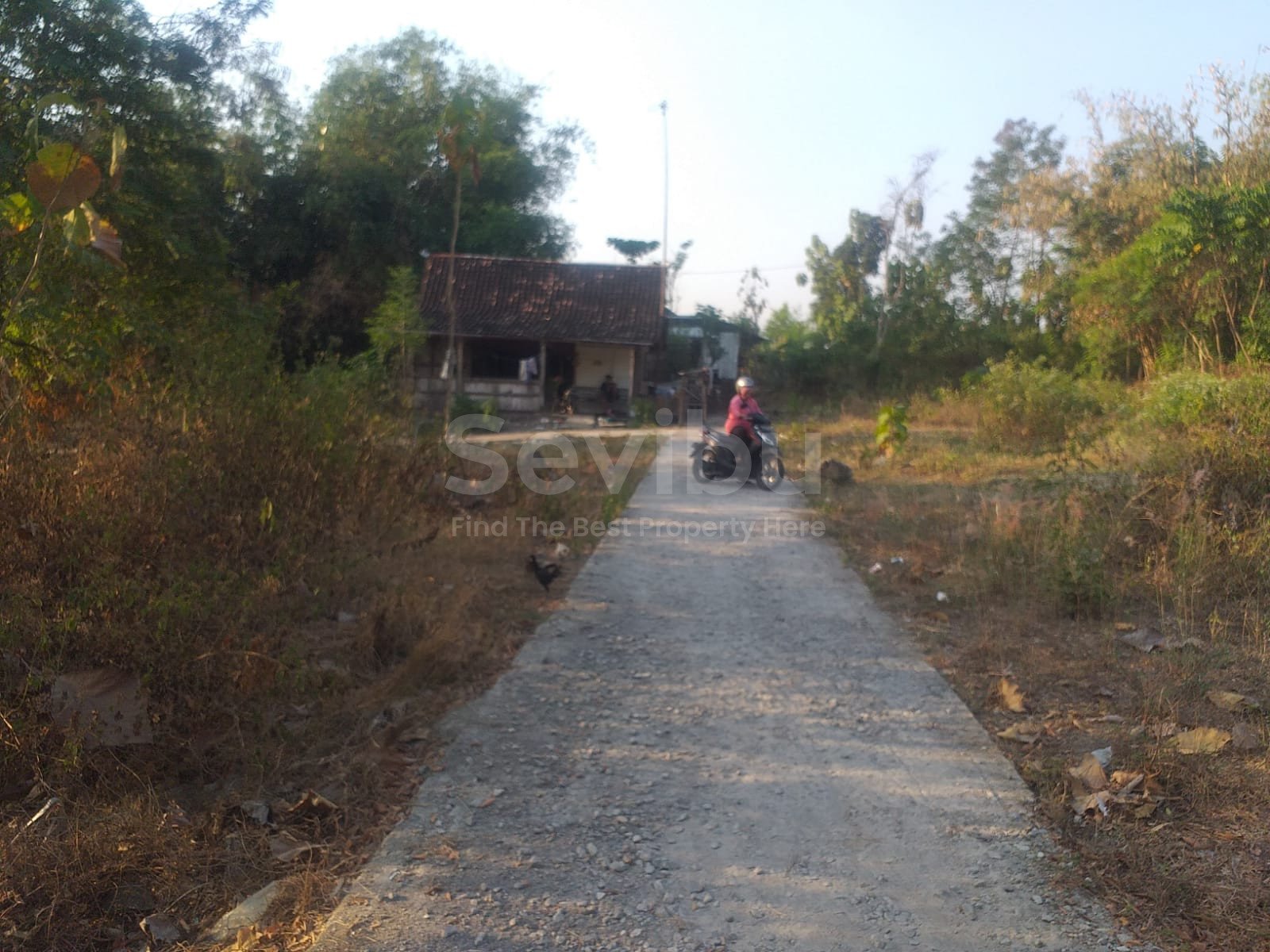 WhatsApp Image 2023-08-12 at 12.04.47