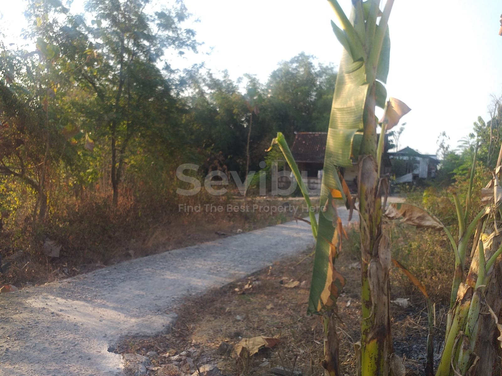 WhatsApp Image 2023-08-12 at 12.05.00