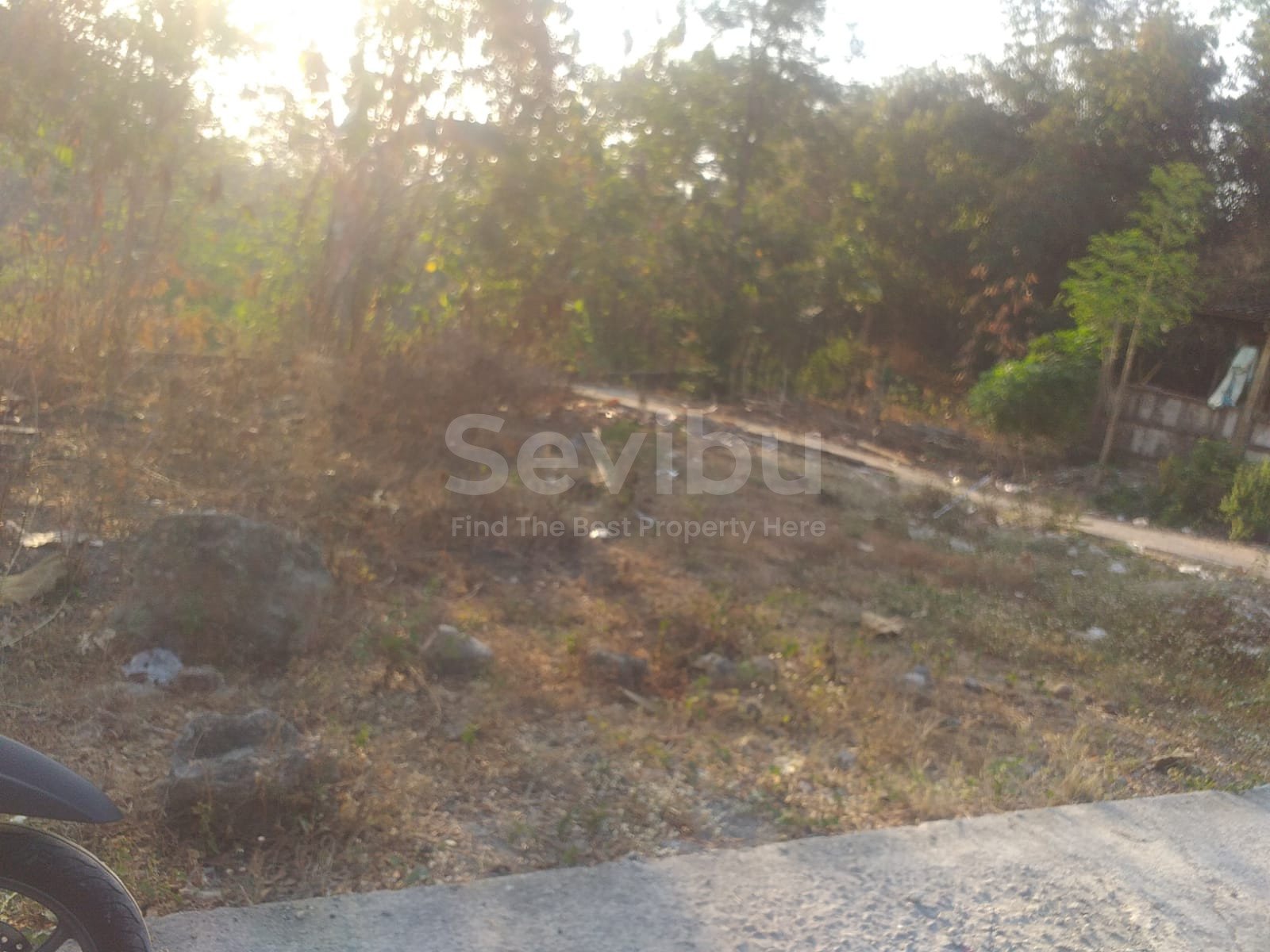 WhatsApp Image 2023-08-12 at 12.06.22