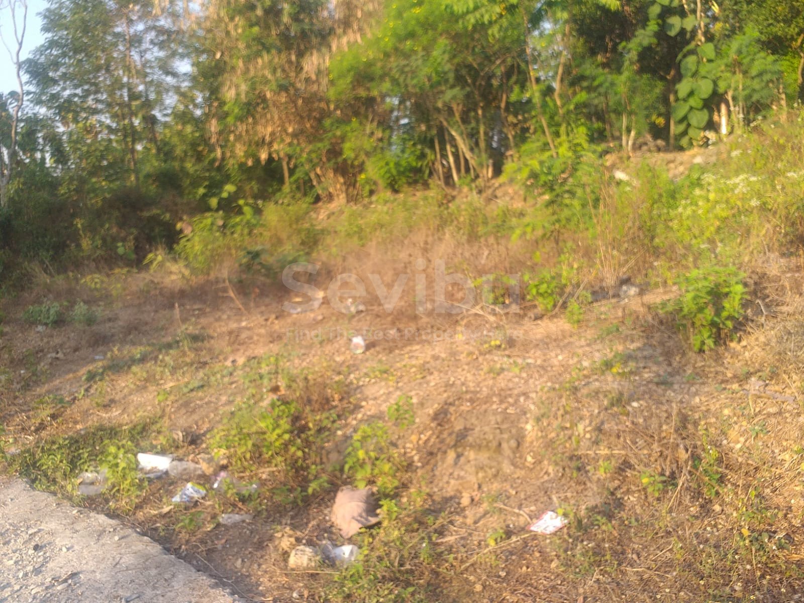 WhatsApp Image 2023-08-12 at 12.06.33