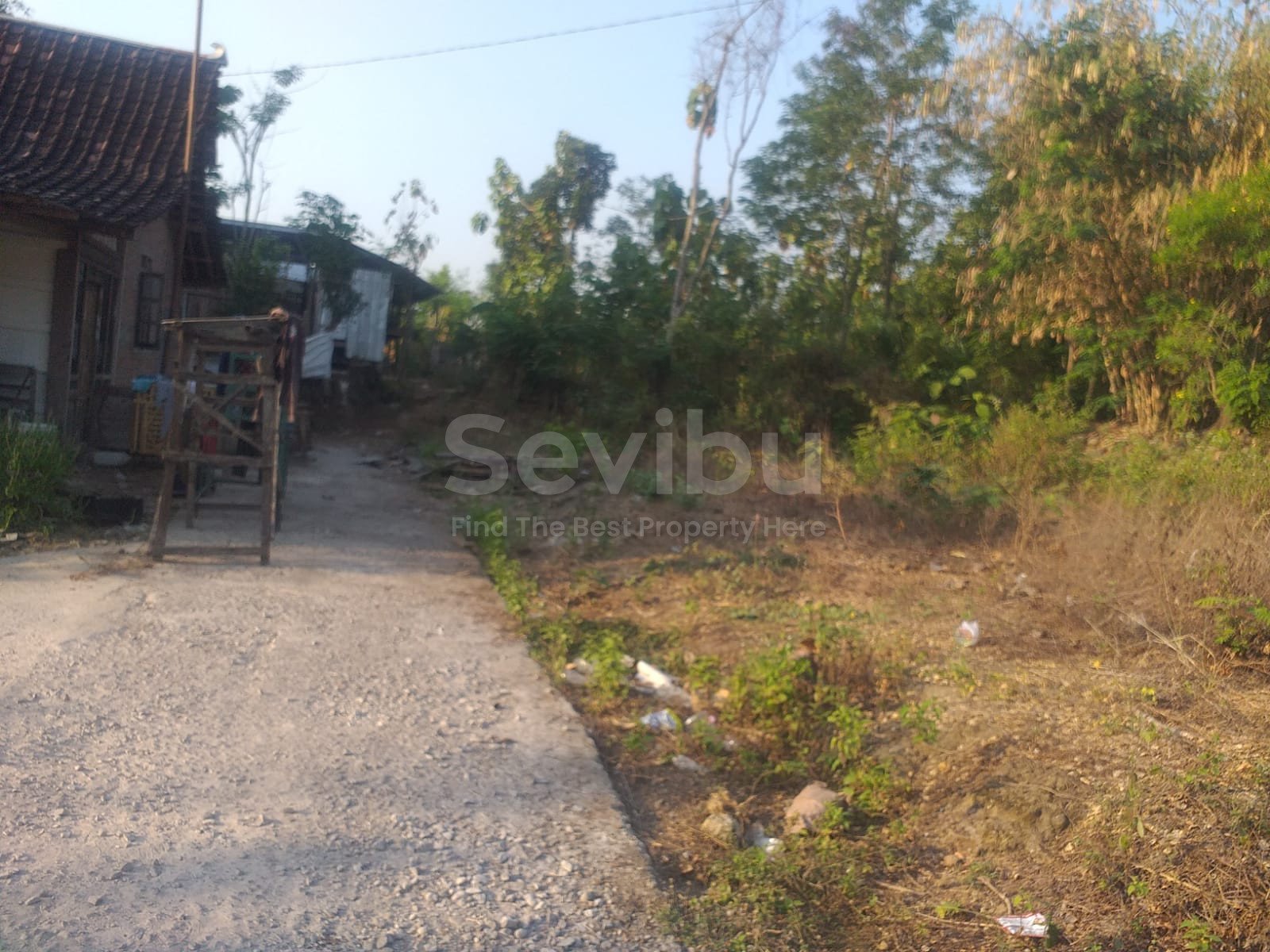 WhatsApp Image 2023-08-12 at 12.06.35