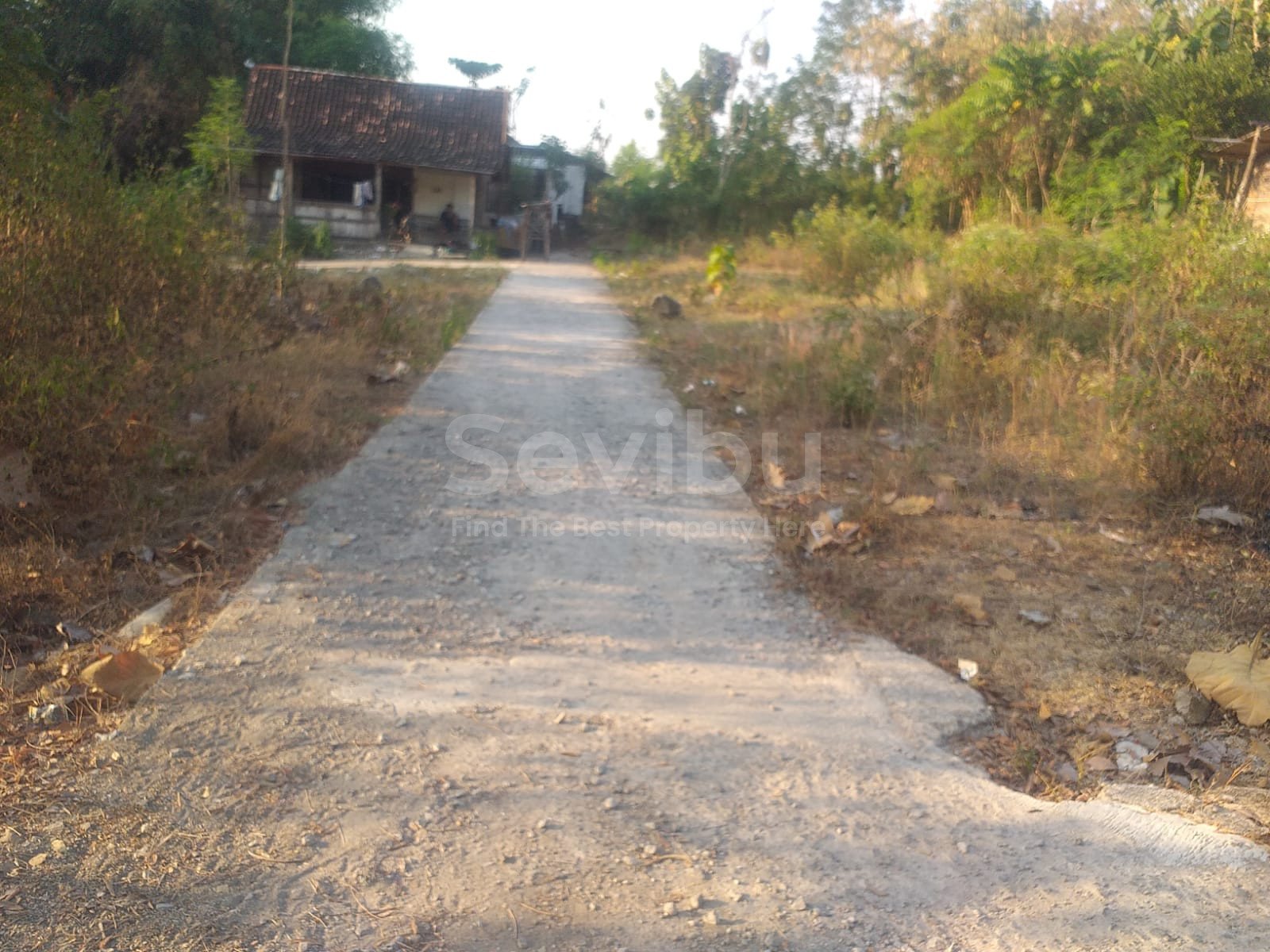 WhatsApp Image 2023-08-12 at 12.09.03