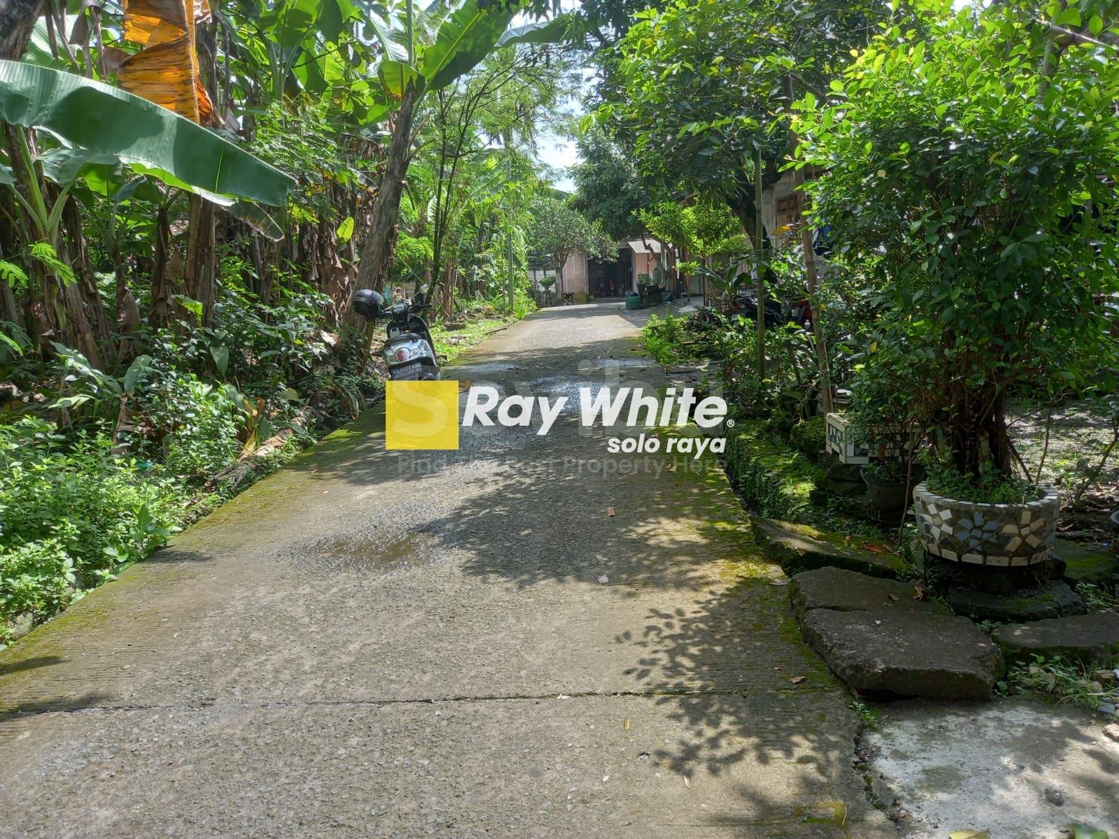 WhatsApp Image 2023-08-12 at 19.12.04 (1)