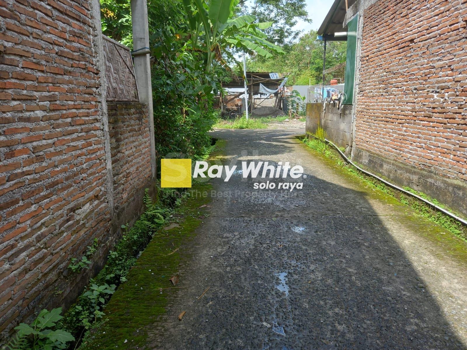 WhatsApp Image 2023-08-12 at 19.12.05