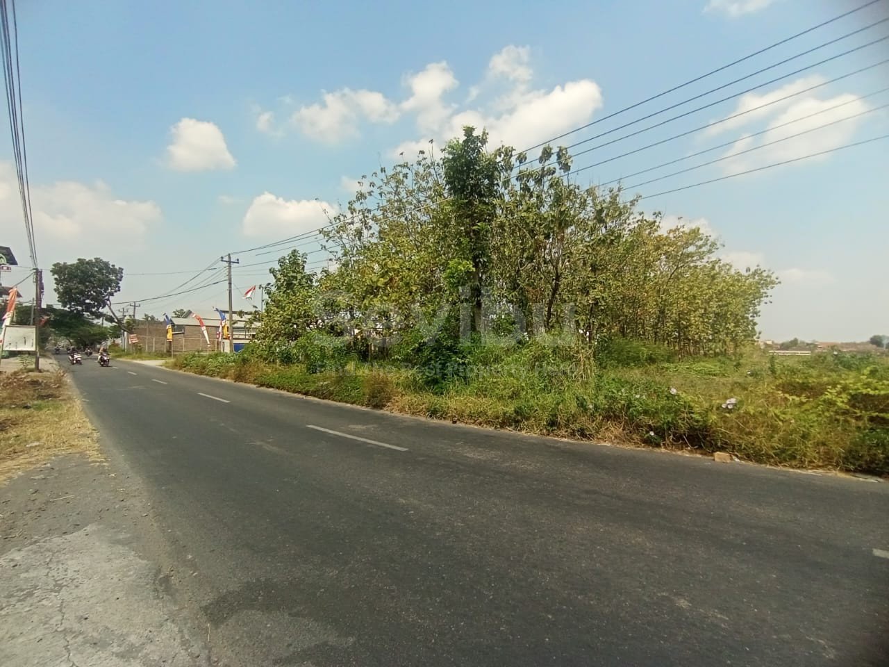 WhatsApp Image 2023-08-19 at 12.44.38