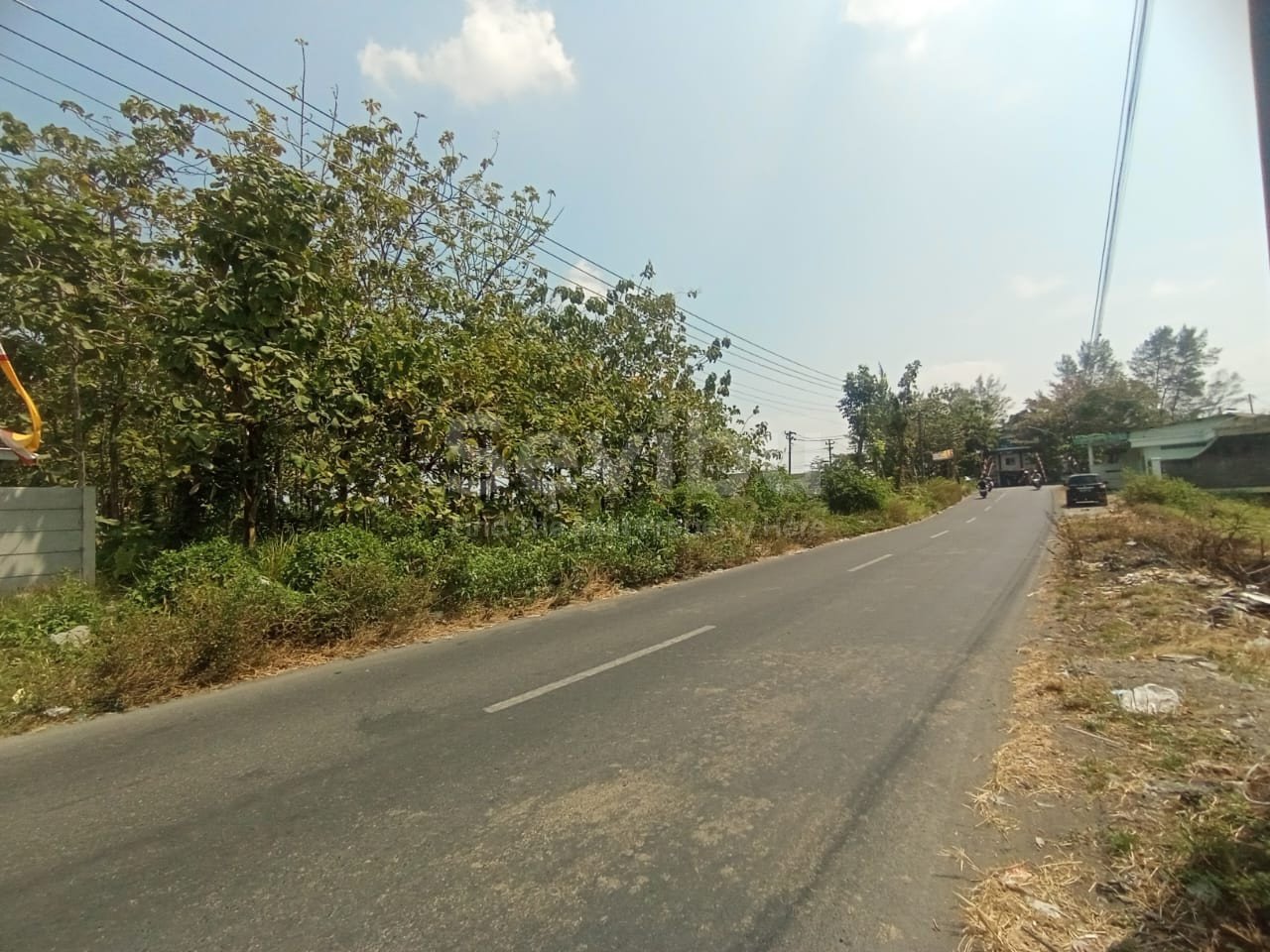 WhatsApp Image 2023-08-19 at 12.46.32