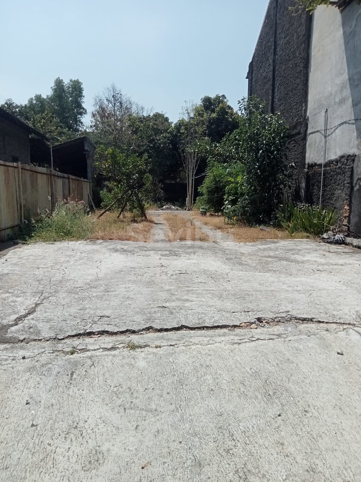 WhatsApp Image 2023-11-03 at 16.02.05