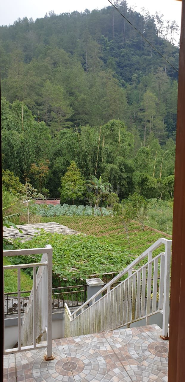 WhatsApp Image 2023-11-23 at 14.23.00 (1)