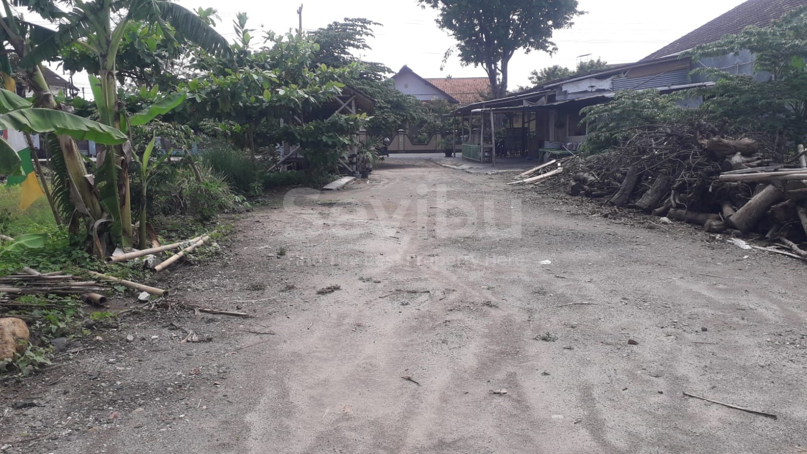 WhatsApp Image 2023-12-07 at 13.24.45