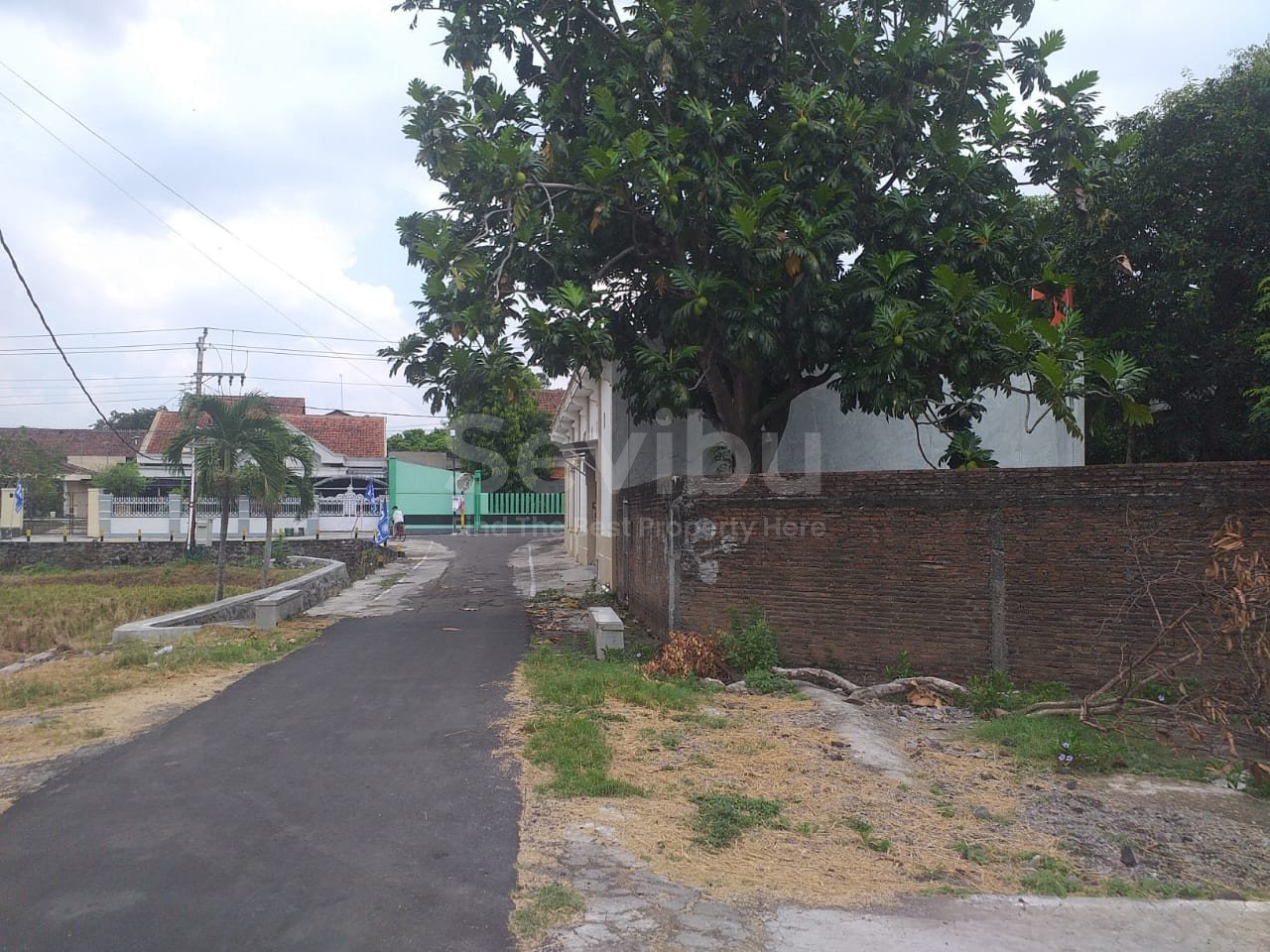 WhatsApp Image 2024-01-16 at 13.59.56