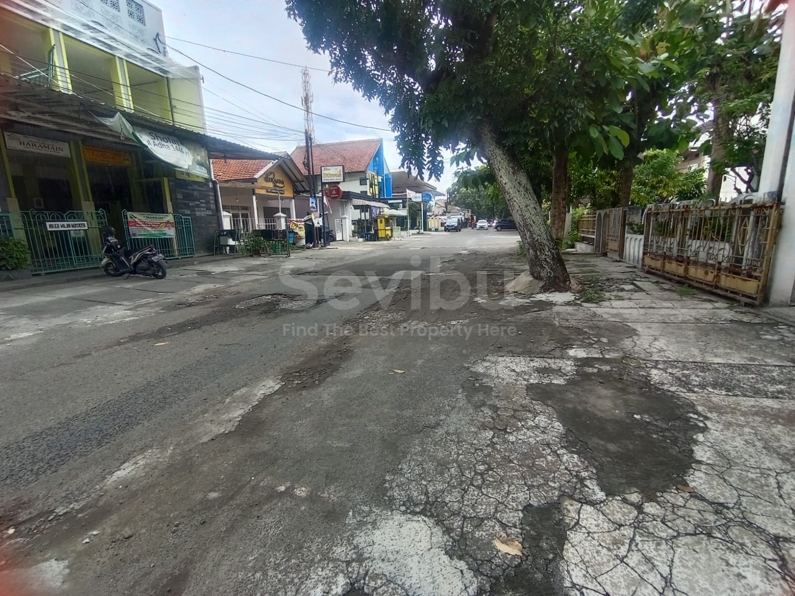 WhatsApp Image 2024-01-25 at 14.38.27 (1)