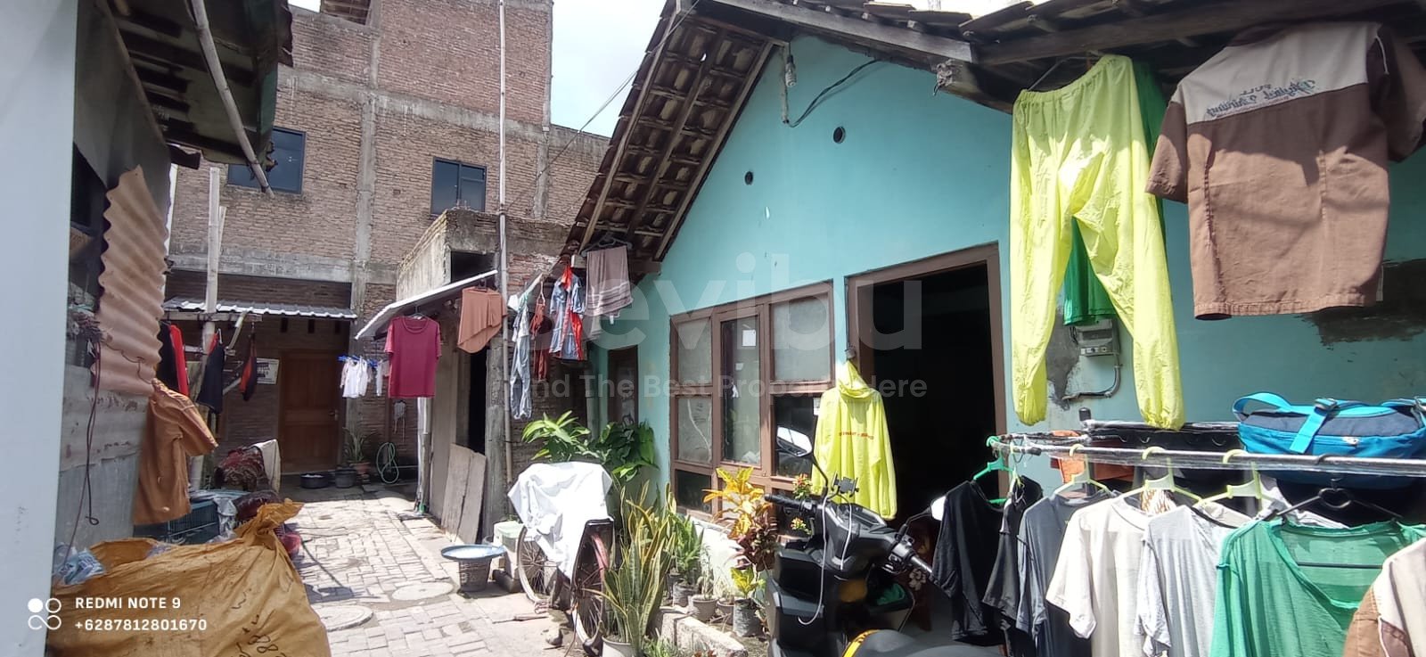 WhatsApp Image 2024-01-29 at 10.13.14