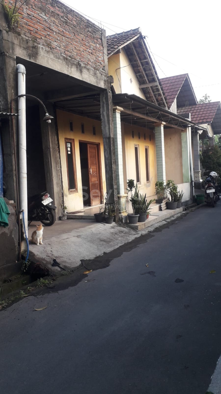 WhatsApp Image 2024-02-02 at 15.31.01 (1)