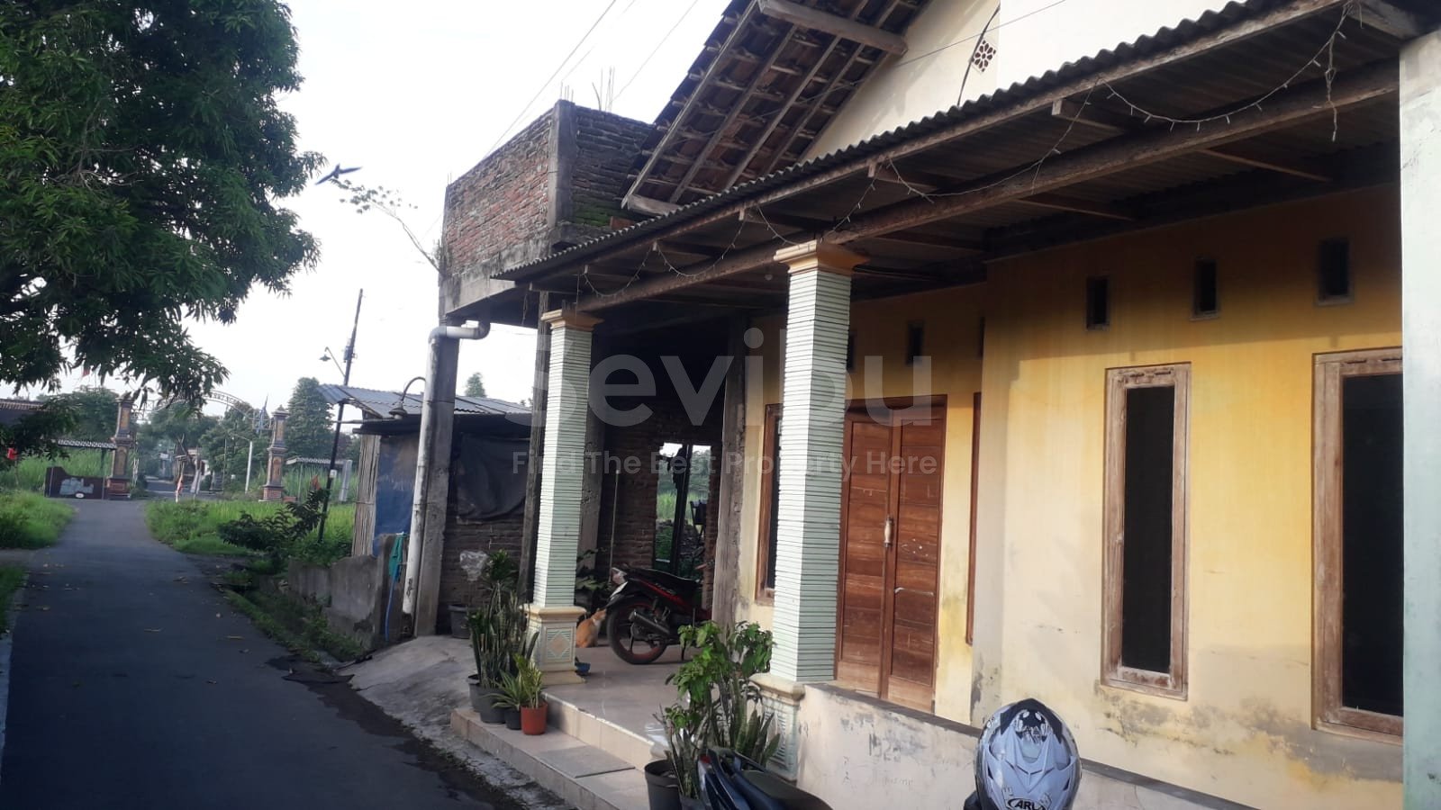 WhatsApp Image 2024-02-02 at 15.31.01 (2)