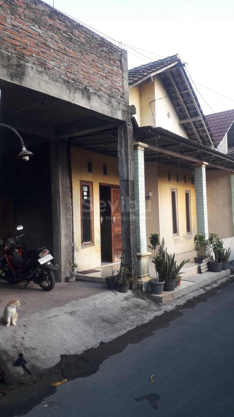 WhatsApp Image 2024-02-02 at 15.31.01