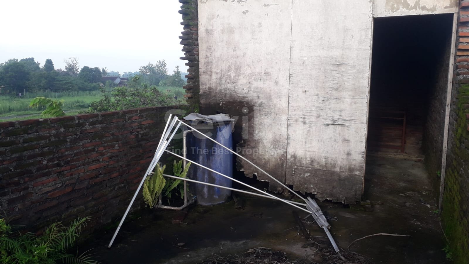 WhatsApp Image 2024-02-02 at 15.31.08