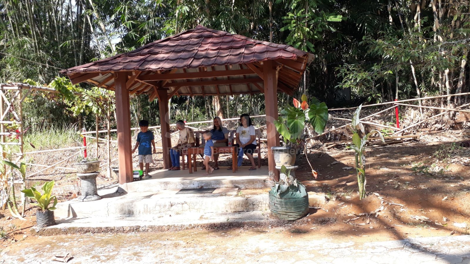 WhatsApp Image 2024-03-16 at 11.46.19 (1)