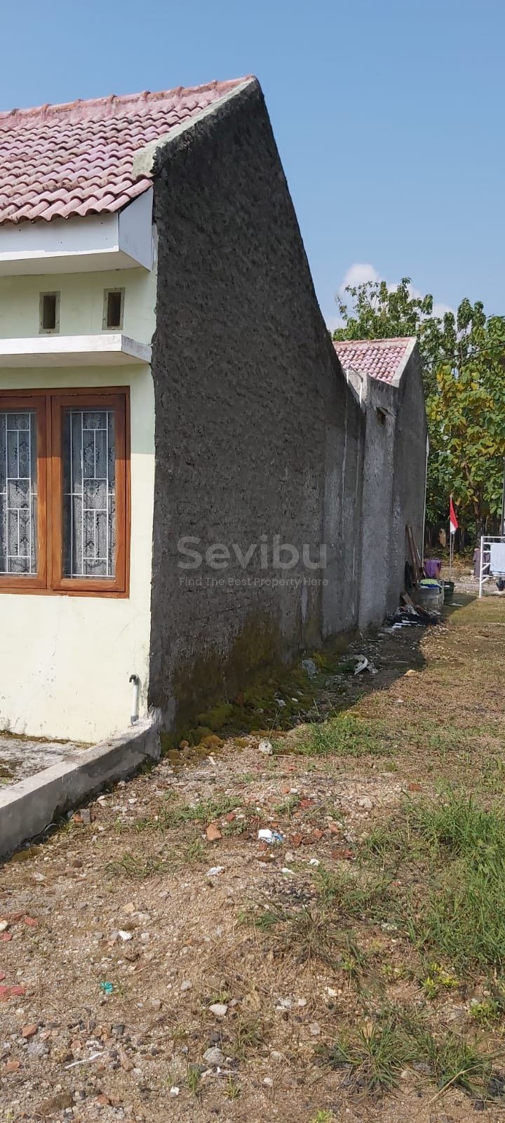 WhatsApp Image 2024-03-24 at 8.56.46 AM