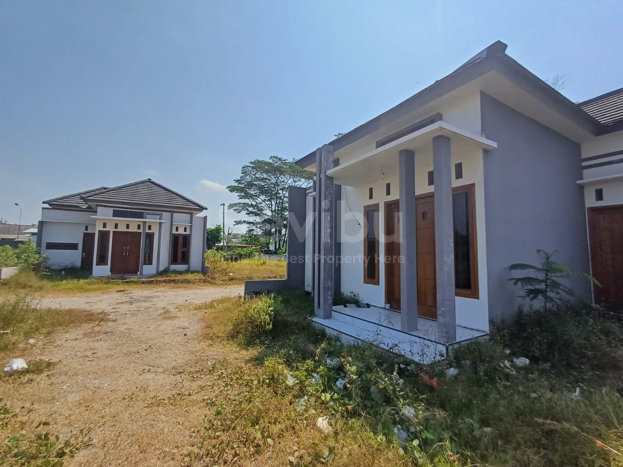 WhatsApp Image 2024-08-03 at 11.50.15