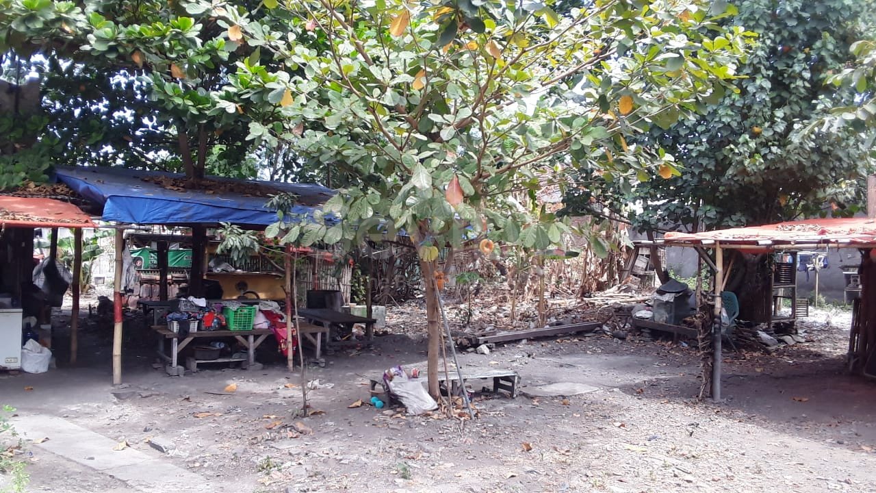 WhatsApp Image 2024-08-30 at 10.19.08 (1)