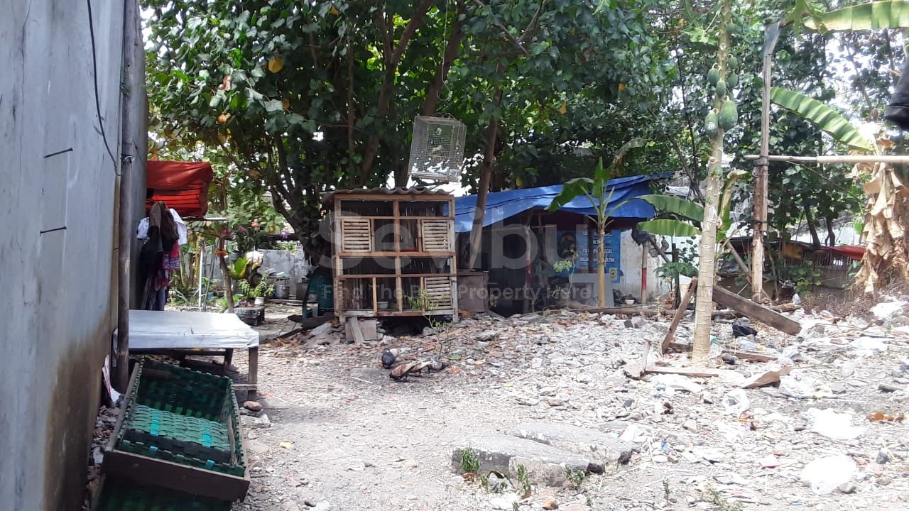 WhatsApp Image 2024-08-30 at 10.19.10 (1)