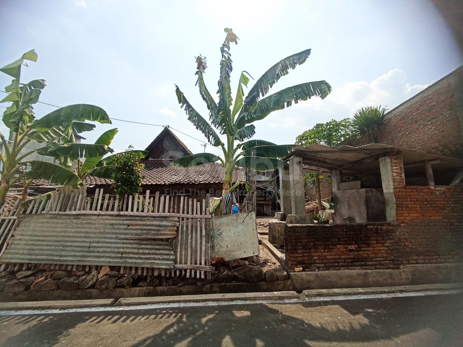 WhatsApp Image 2024-09-05 at 12.10.40