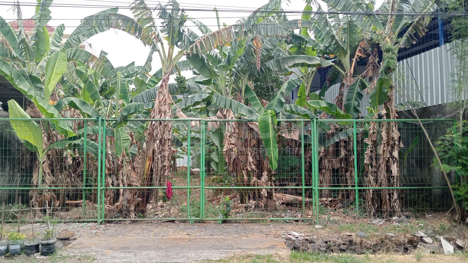 WhatsApp Image 2024-09-23 at 09.51.40