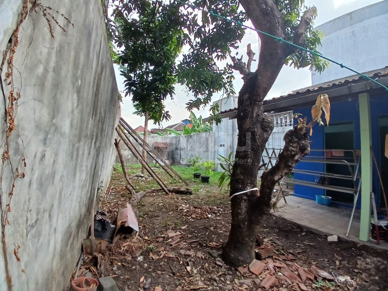 WhatsApp Image 2024-10-15 at 14.41.04 (1)