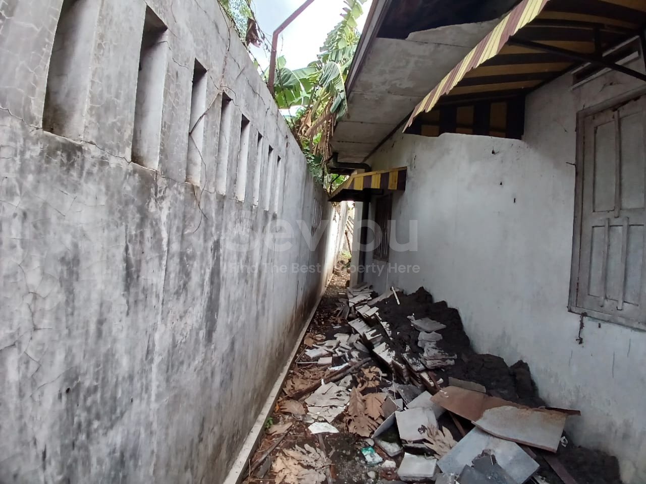 WhatsApp Image 2024-10-15 at 14.41.05