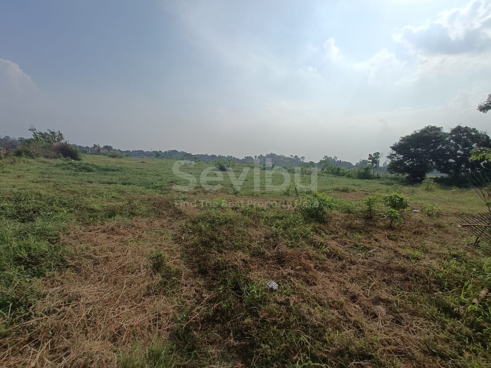 WhatsApp Image 2024-10-24 at 12.58.02 (2)