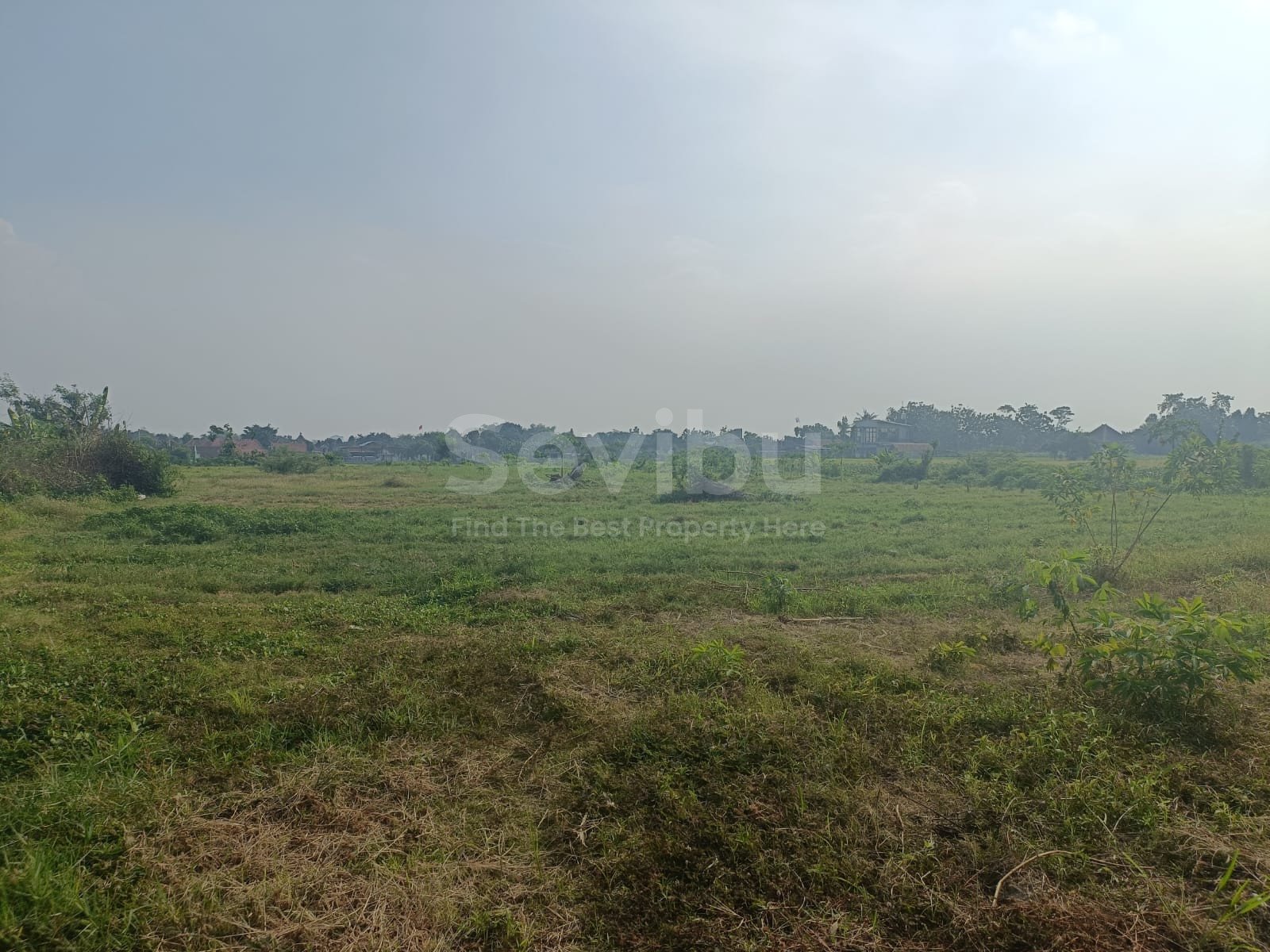 WhatsApp Image 2024-10-24 at 12.58.03