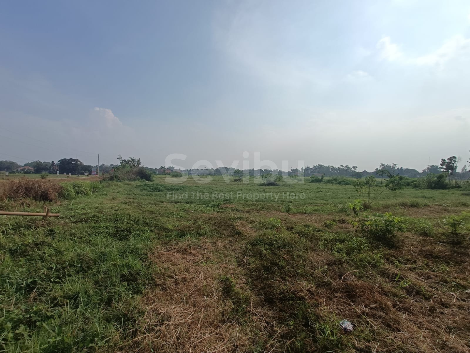 WhatsApp Image 2024-10-24 at 12.58.05