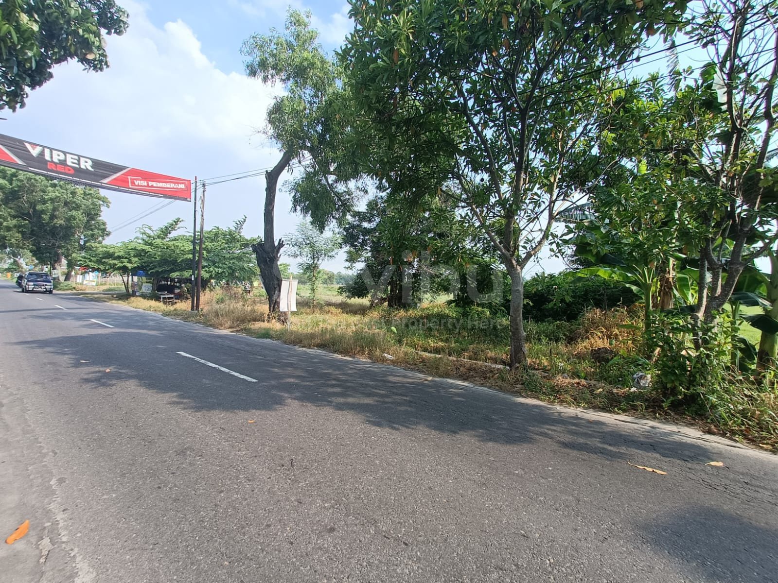 WhatsApp Image 2024-10-24 at 12.58.06