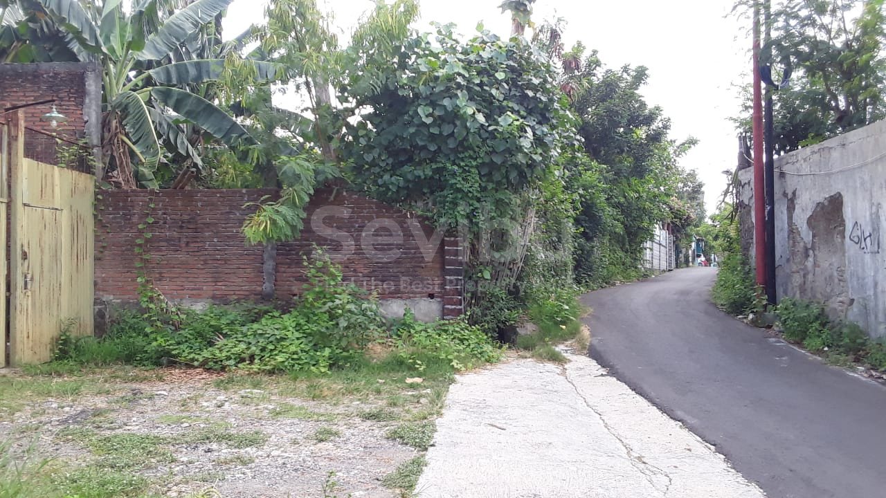 WhatsApp Image 2024-10-30 at 14.23.00 (1)