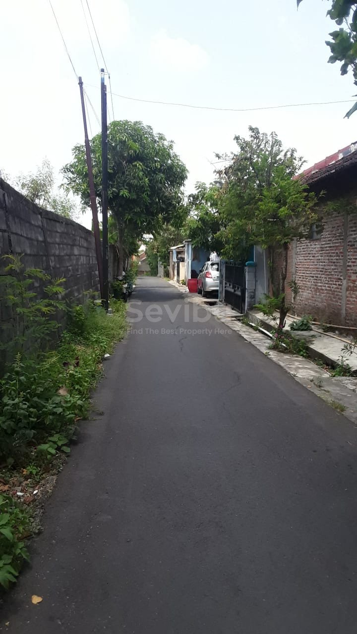 WhatsApp Image 2024-10-30 at 14.23.01