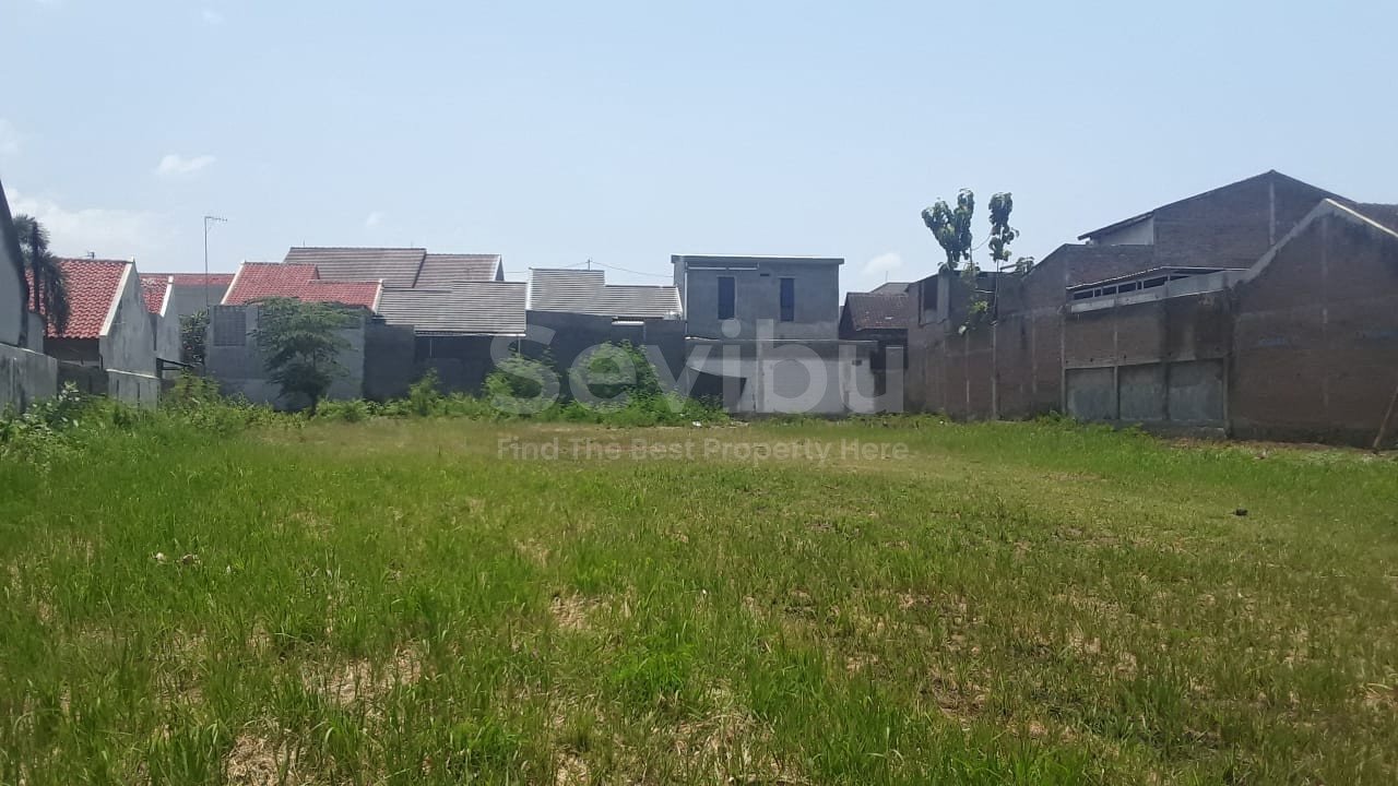 WhatsApp Image 2024-10-30 at 14.23.02 (1)