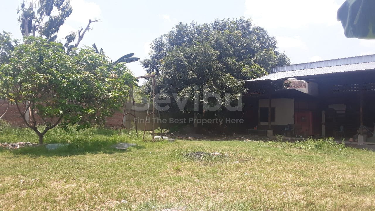 WhatsApp Image 2024-10-30 at 14.23.02