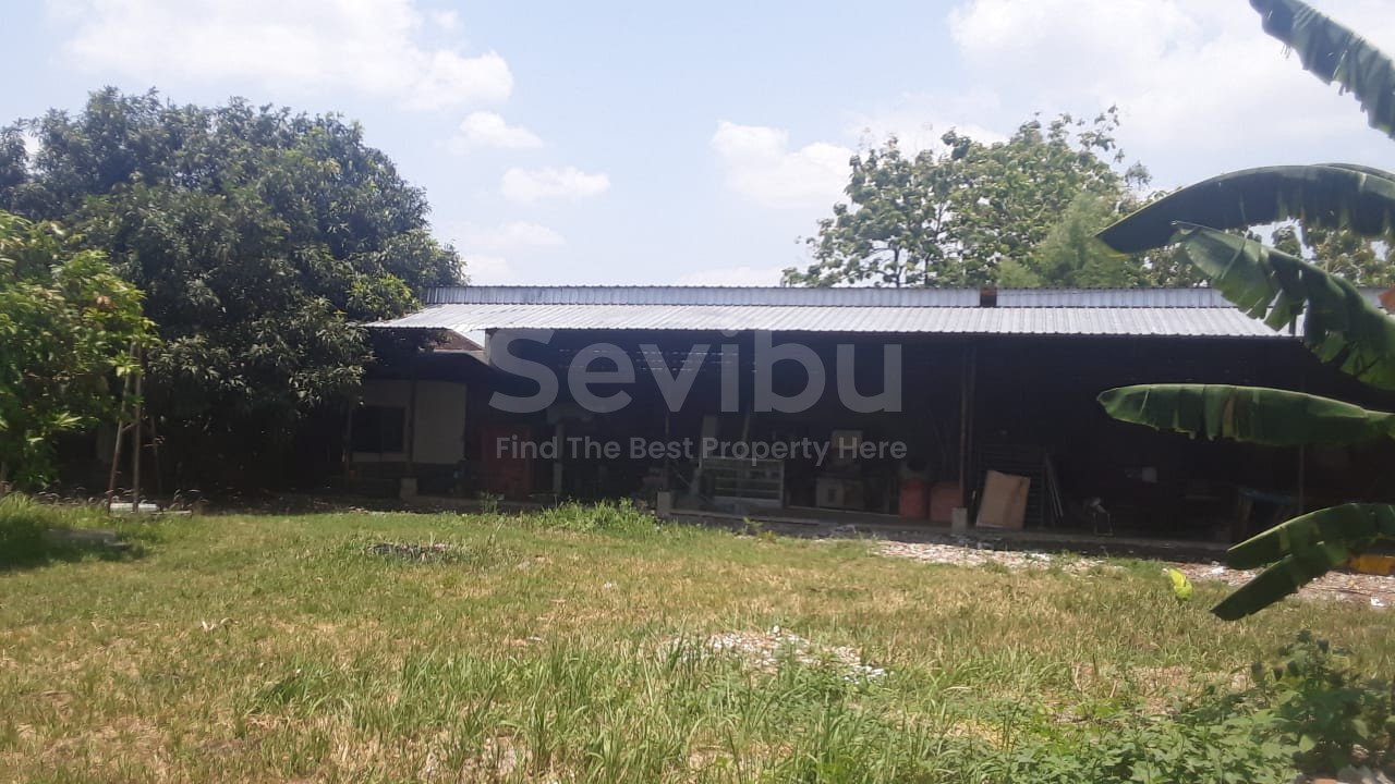 WhatsApp Image 2024-10-30 at 14.23.03