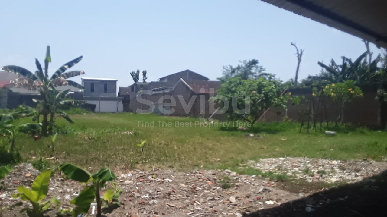 WhatsApp Image 2024-10-30 at 14.23.05 (1)