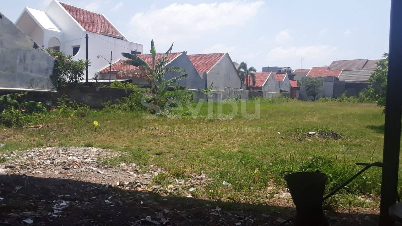 WhatsApp Image 2024-10-30 at 14.23.05