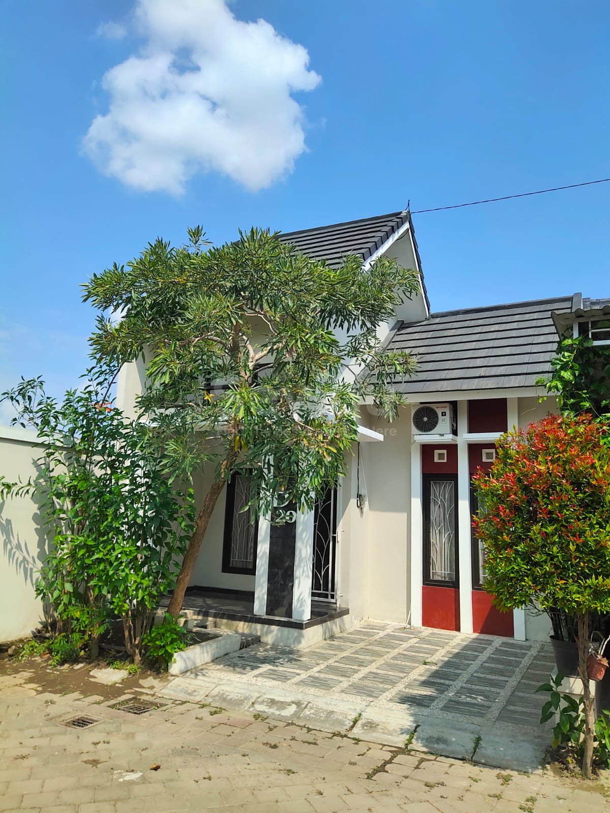 WhatsApp Image 2024-11-02 at 12.15.05