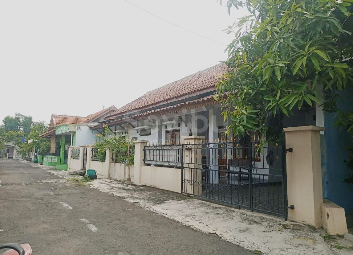 WhatsApp Image 2024-11-16 at 12.59.34