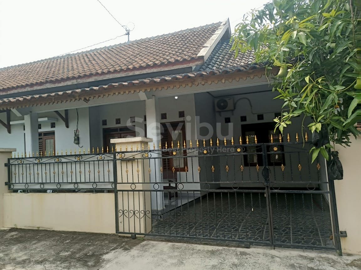 WhatsApp Image 2024-11-16 at 13.00.23