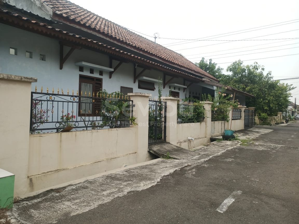 WhatsApp Image 2024-11-16 at 13.00.24 (1)