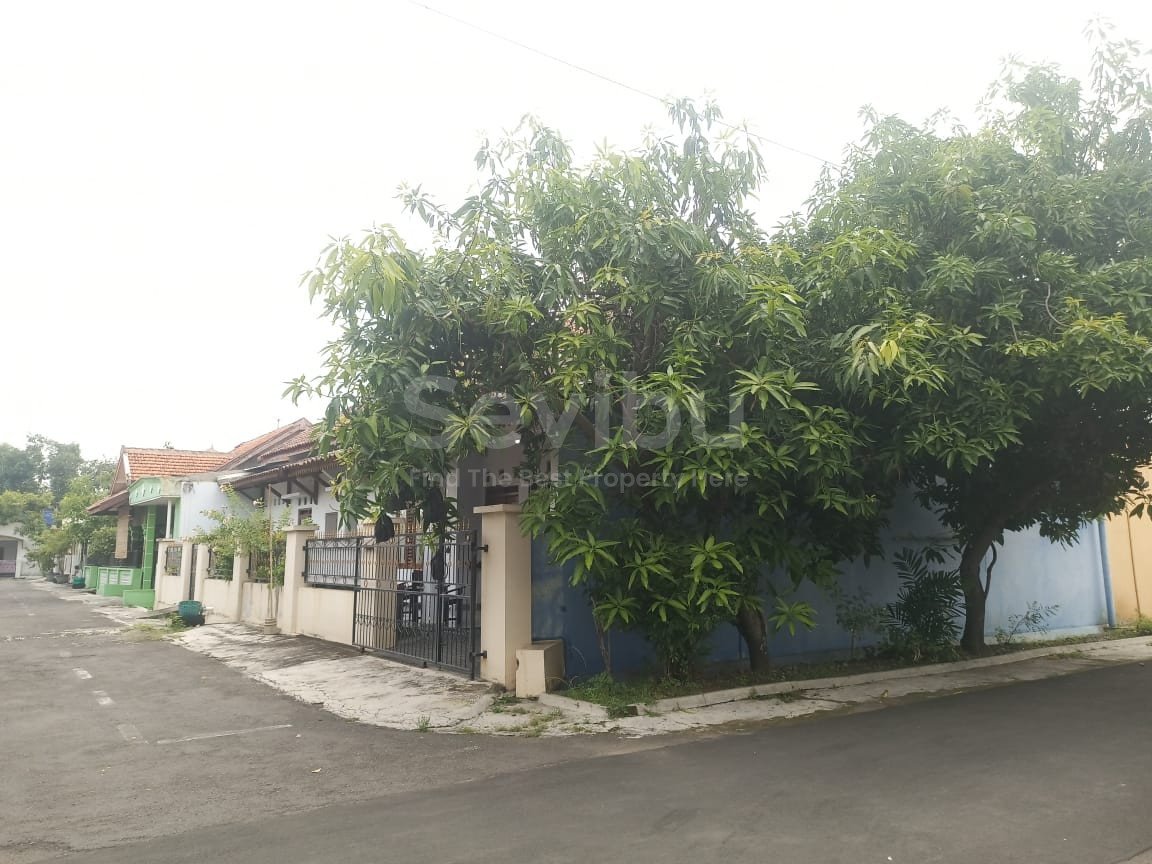 WhatsApp Image 2024-11-16 at 13.00.24 (2)